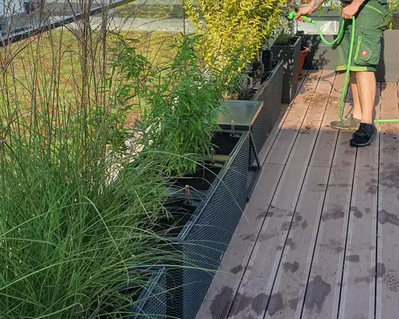 Gräser auf einer Dachterrasse werden gewässert