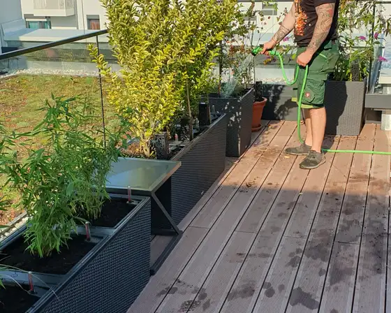 Bepflanzte Dachterrasse mit Gräsern