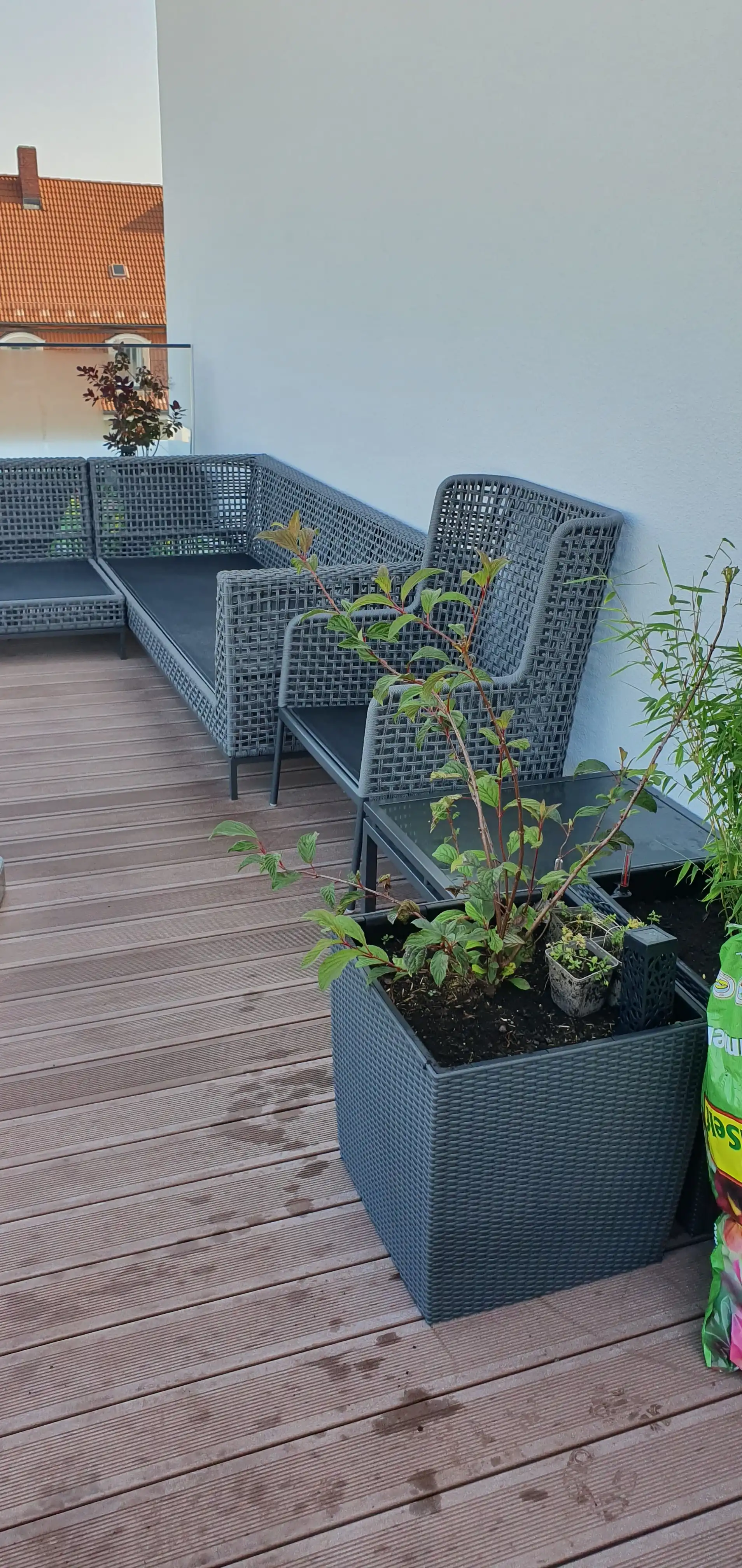 Bepflanzte Kübel auf einer Dachterrasse