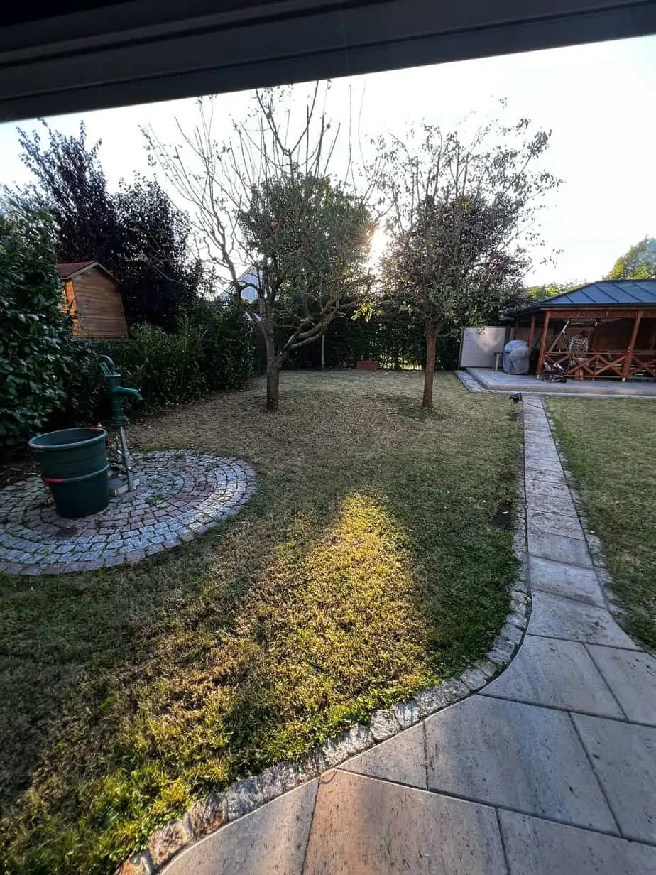 Derselbe Garten nach dem Mähen, die Obstbäume ausgelichtet